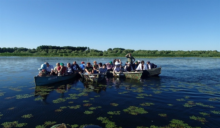 Restaurerer unikt våtmarksområde i Donau